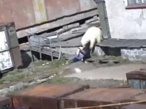 polarbearattack Polar Bear attacks woman
