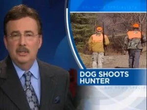dog shoots hunter dog shoots hunter