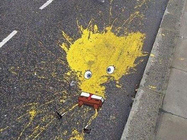 Image result for road kill