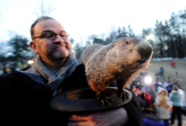 groundhog day groundhog day