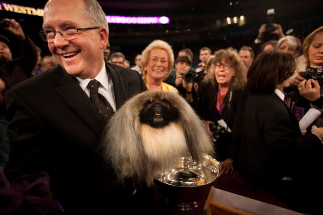 malachy westminster malachy westminster
