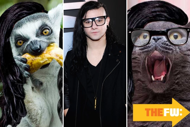 Animals with Skrillex hair Animals with Skrillex hair