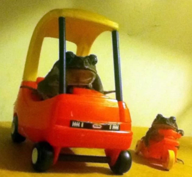 Banana With Trucker Hat, ‘Monopoly The Movie’ and More of the Best