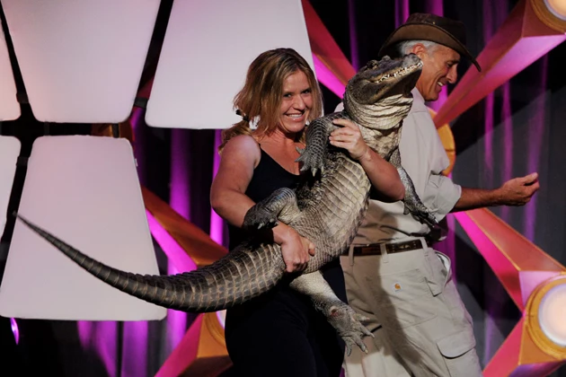 Alligator at Daytime Emmy Awards Alligator at Daytime Emmy Awards