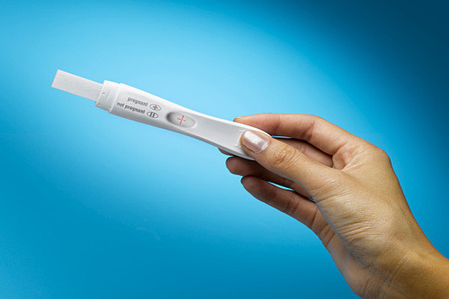 Pregnancy Test Pregnancy Test
