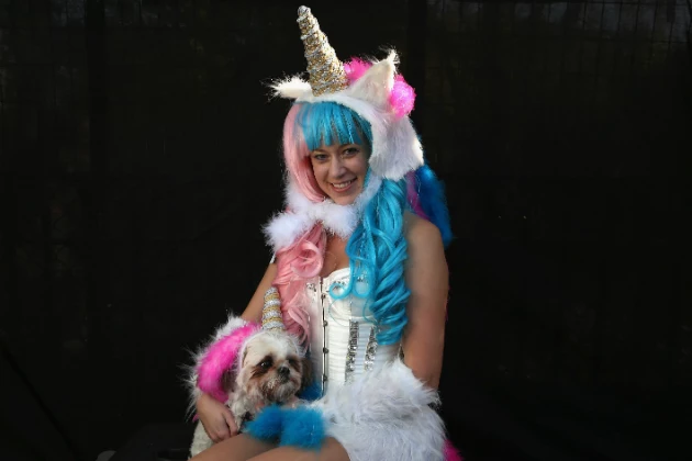 North Korea Confirms the Existence of Unicorns North Korea Confirms the Existence of Unicorns