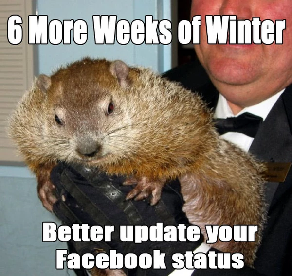 8 Groundhog Day Memes From Punxsutawney Phil