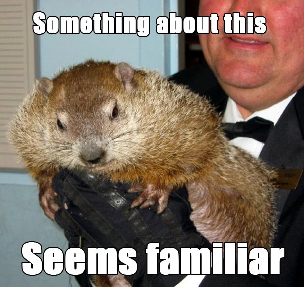 Groundhog Day Meme Groundhog Day Meme