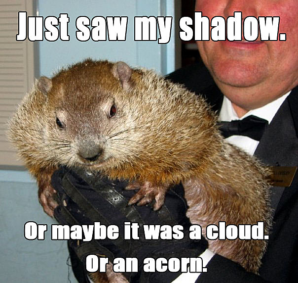 Groundhog Day Meme Groundhog Day Meme