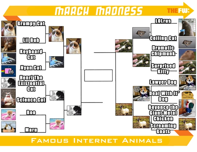 TheFW Internet Animals ROUND3 Small TheFW Internet Animals ROUND3 Small