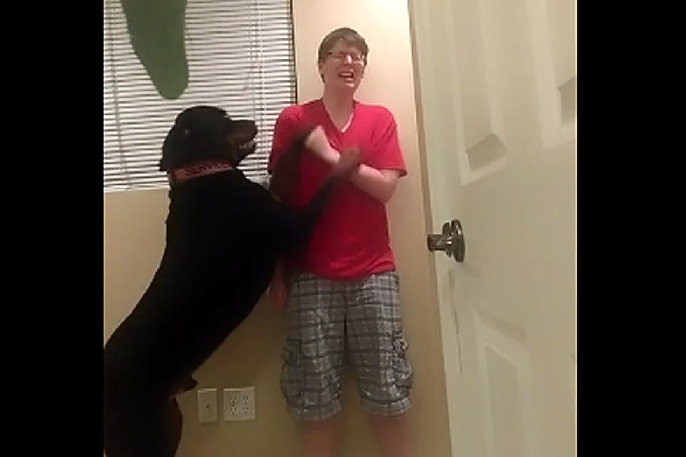 Service Dog Expertly Calms Down Owner With Asperger’s Having Meltdown