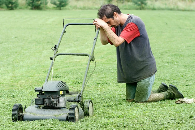 Lawn