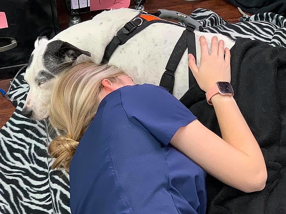 Emotional Photo Shows Vet Tech Sleeping With Sick Dog