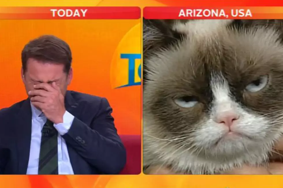 Reporter Can’t Handle Grumpy Cat