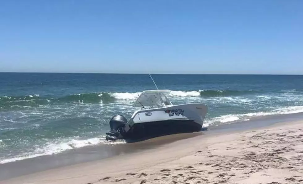 Video Released of Whale Jumping Onto Boat, Causing it to Capsize