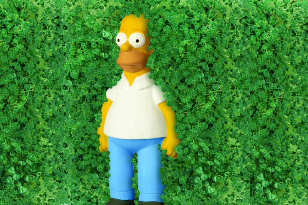 Everyone’s Favorite ‘Simpsons’ Meme is Becoming an Adorable Chia Pet