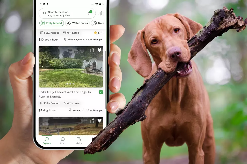 App Actually Lets You Rent a Private Yard for Your Dog to Run Wild